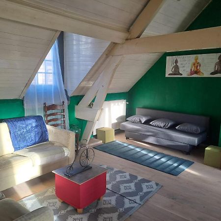 The Green Retromodern Duplex Apartment Antwerp Luaran gambar