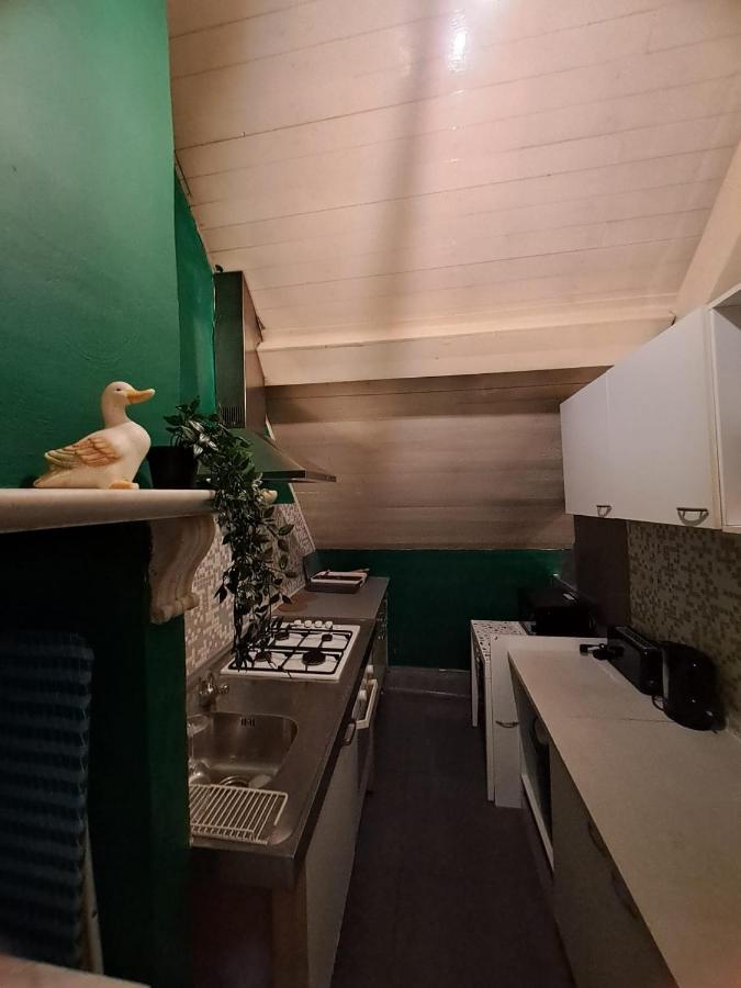 The Green Retromodern Duplex Apartment Antwerp Luaran gambar
